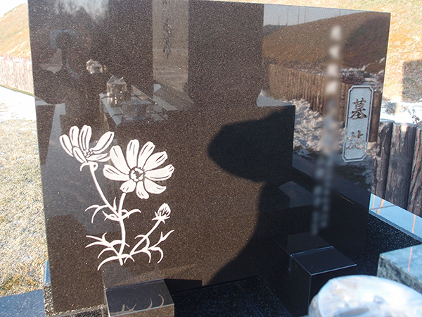 墓誌板にイラスト彫刻 コスモス をご彫刻いたしました 札幌のお墓専門店 帝北石材スタッフブログ