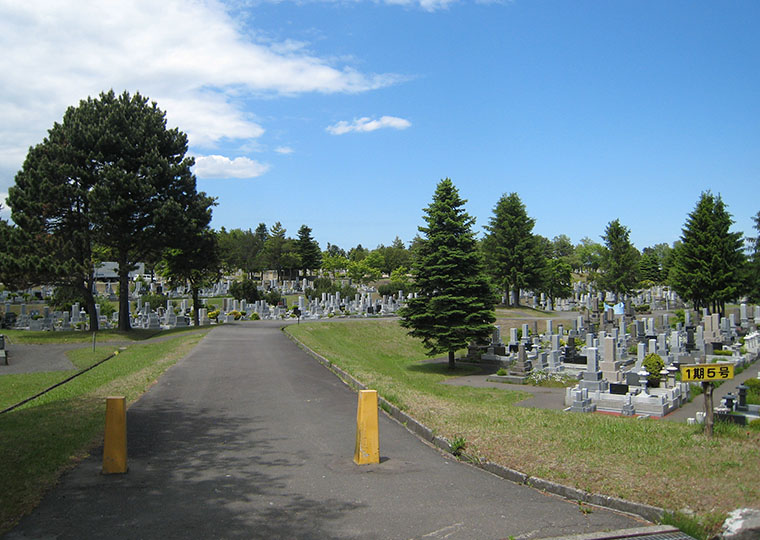 5. 駐車スペースが豊富