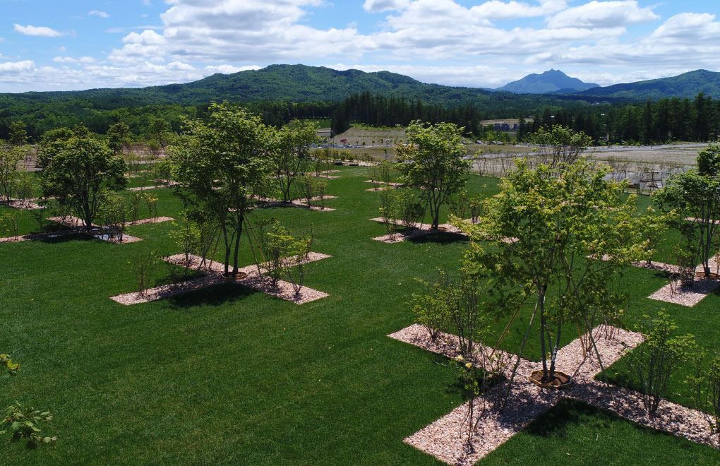 天空のガーデン