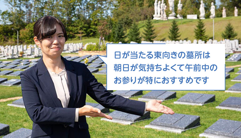 実際に行って見てみましょう