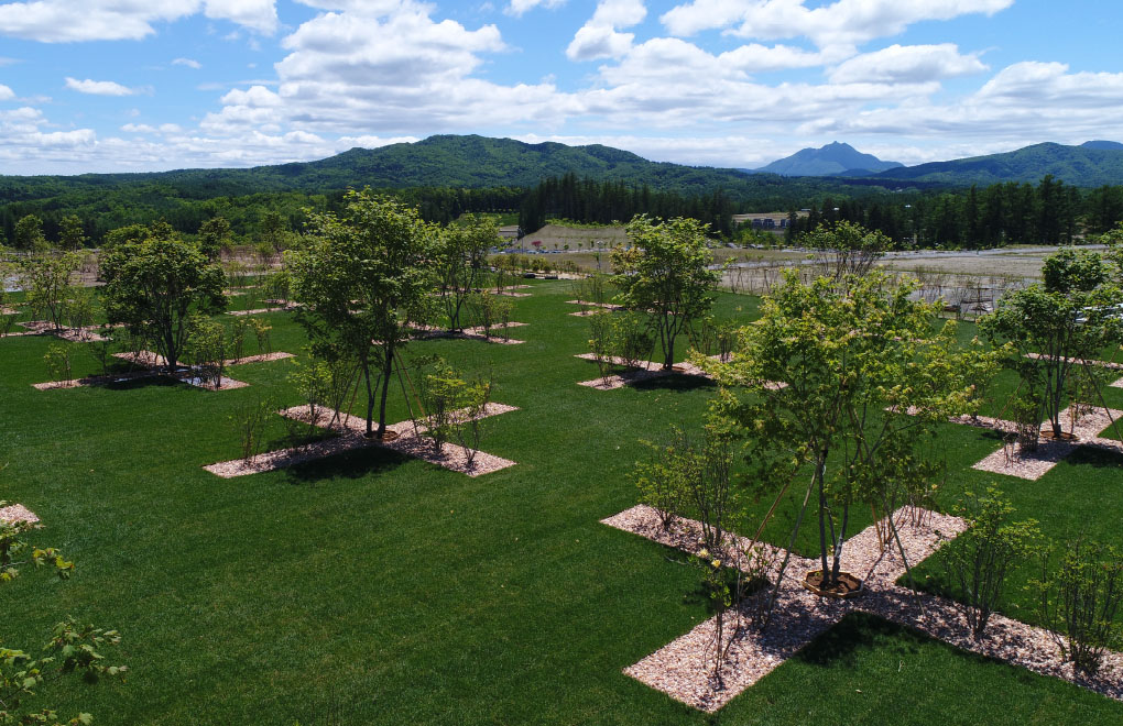 天空のガーデン
