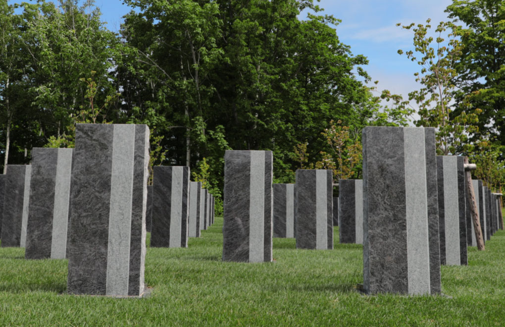 どんぐりの杜 Ⅱ